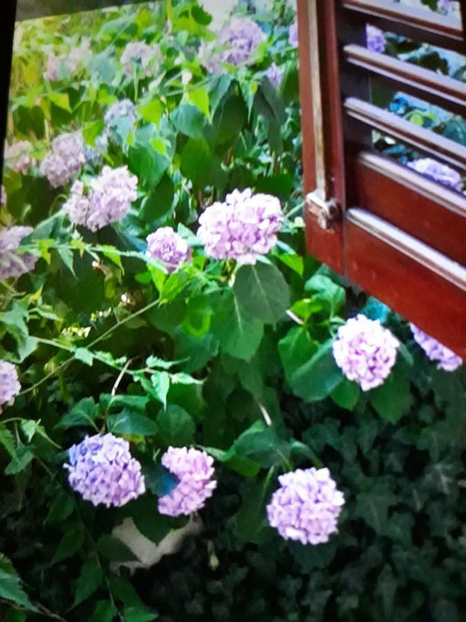Apartment Lea Senj  Εξωτερικό φωτογραφία