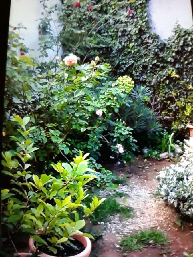 Apartment Lea Senj  Εξωτερικό φωτογραφία